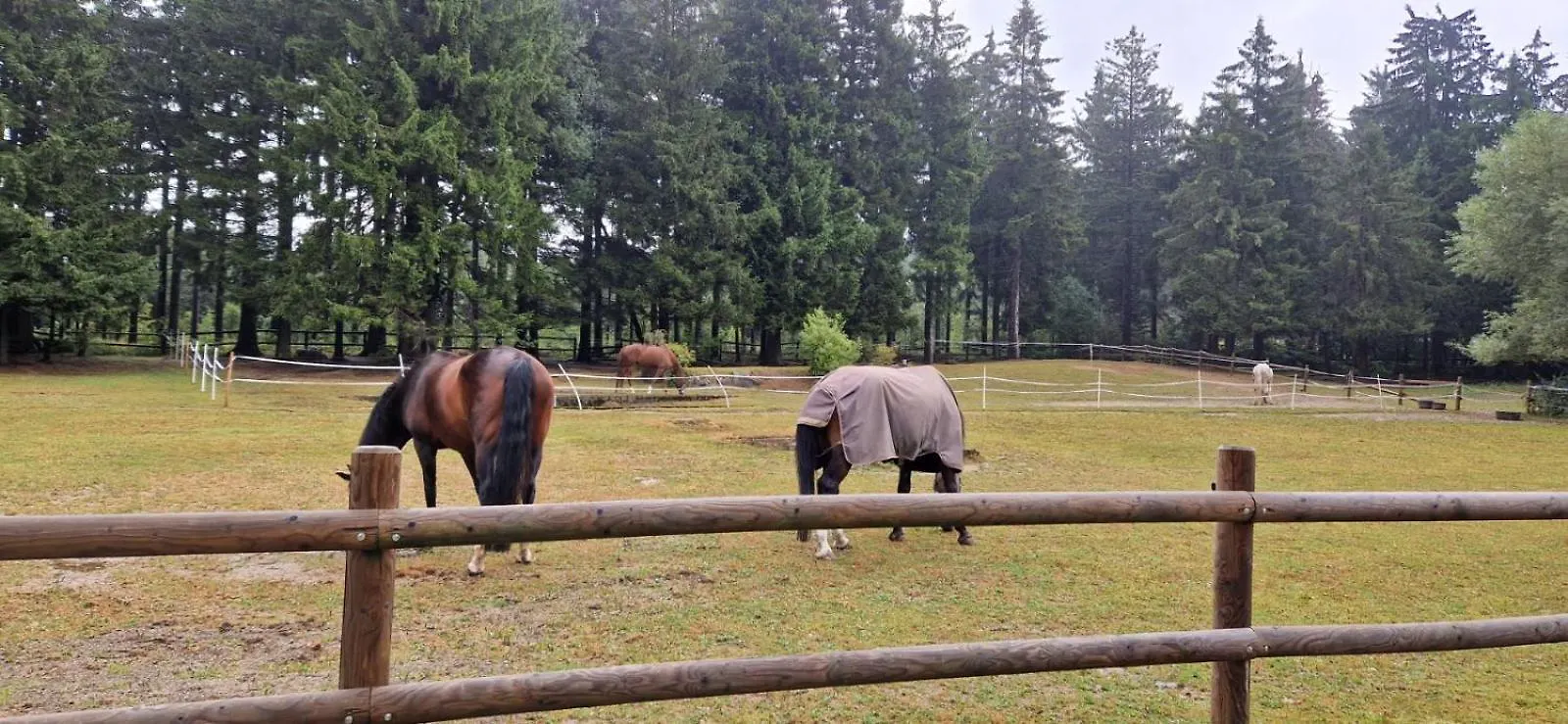 Ferienwohnung Mit Schwimmbad Und Gartenblick Sankt Englmar